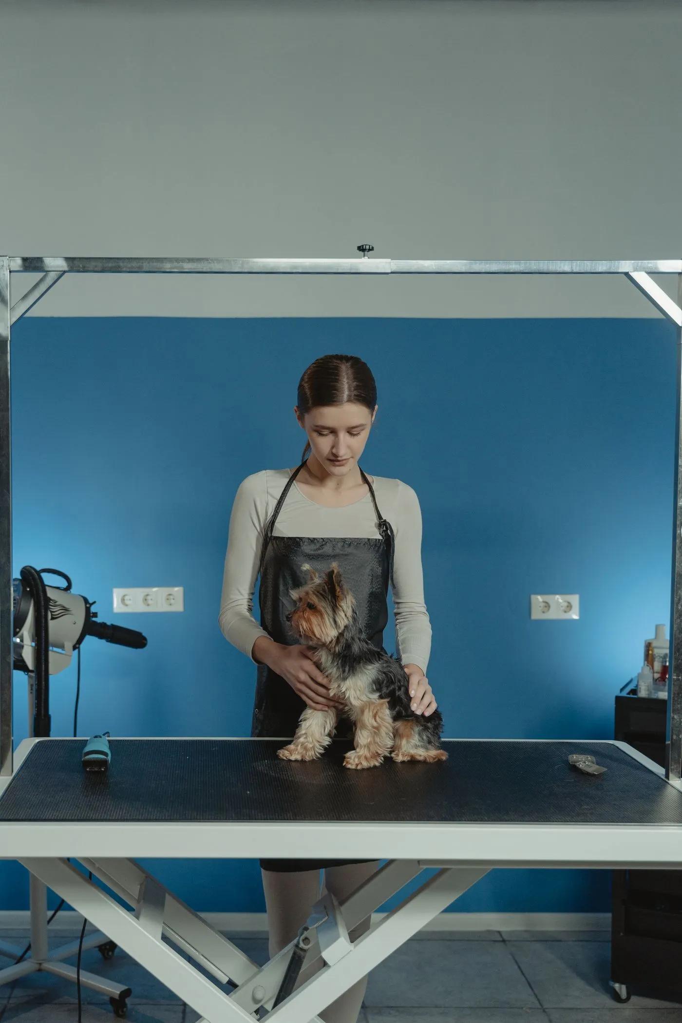 Groomer gently steadying a small dog on a grooming table for a quick tidy